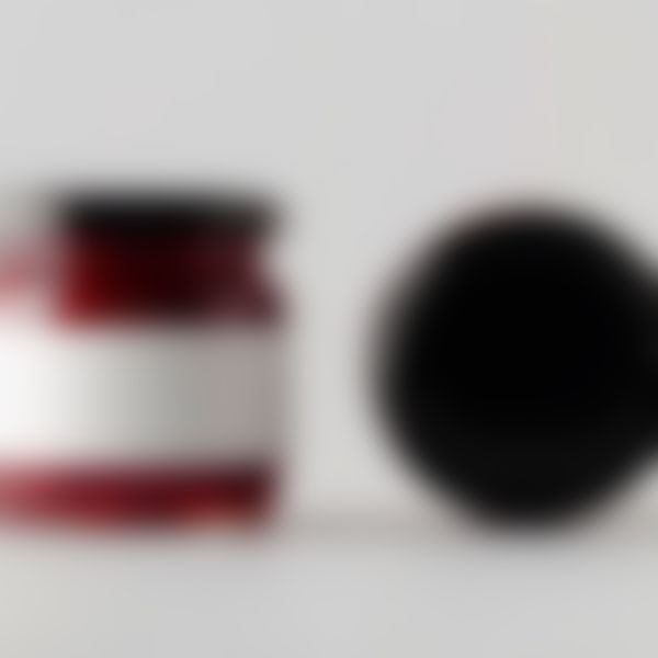 Maintained website in the monthly model example